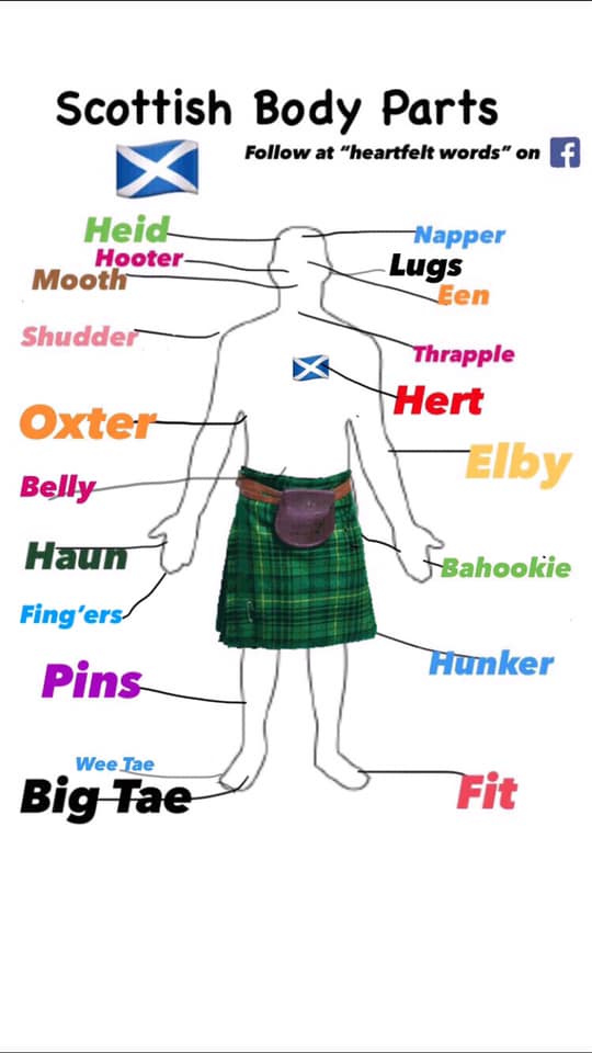 Scottish Body Types